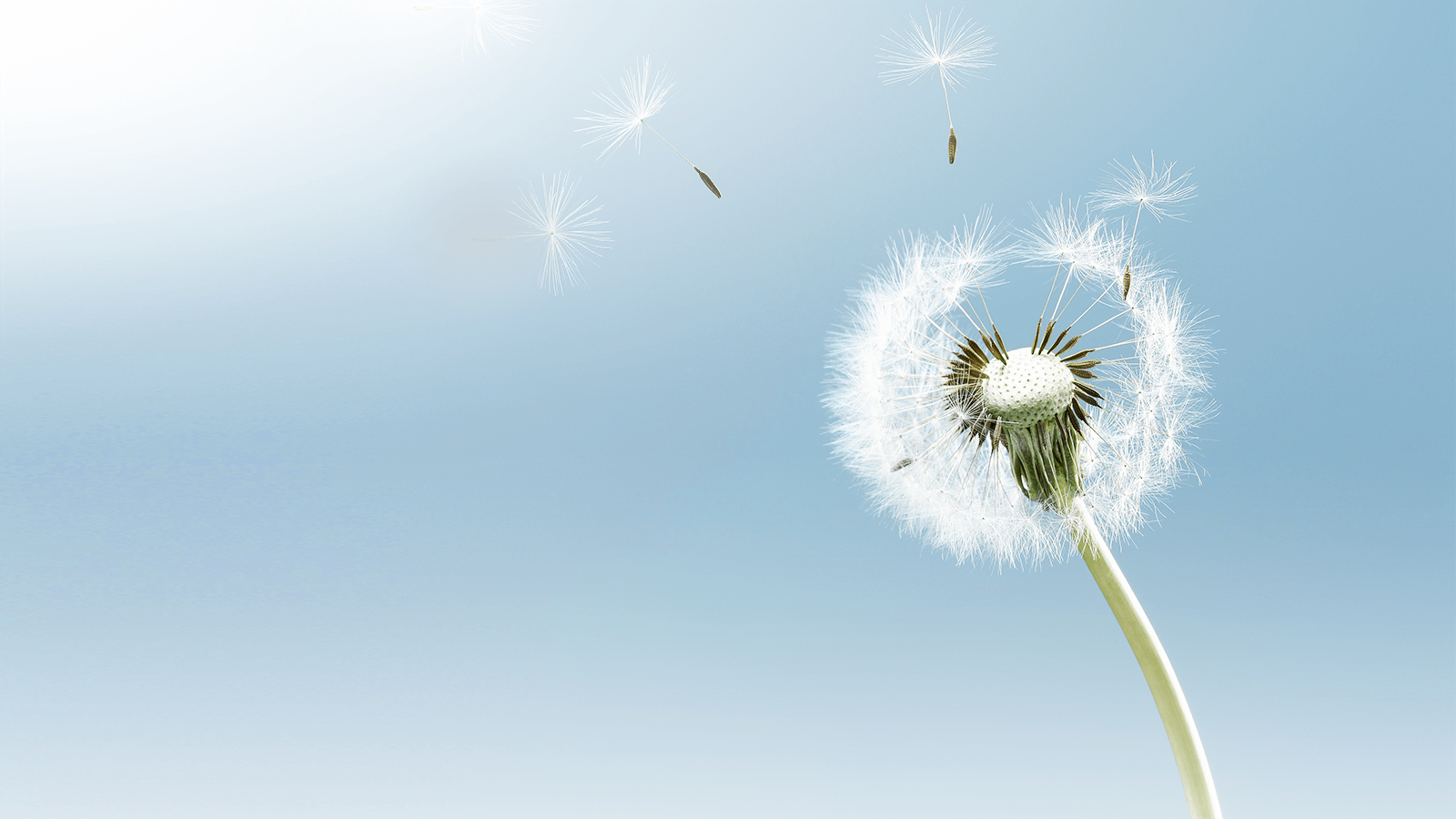 尊龙凯时[AG]公司官网